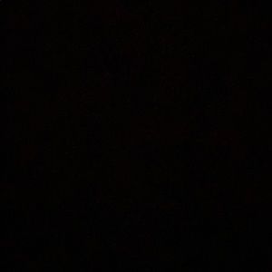 Meet your Posher, Bailey